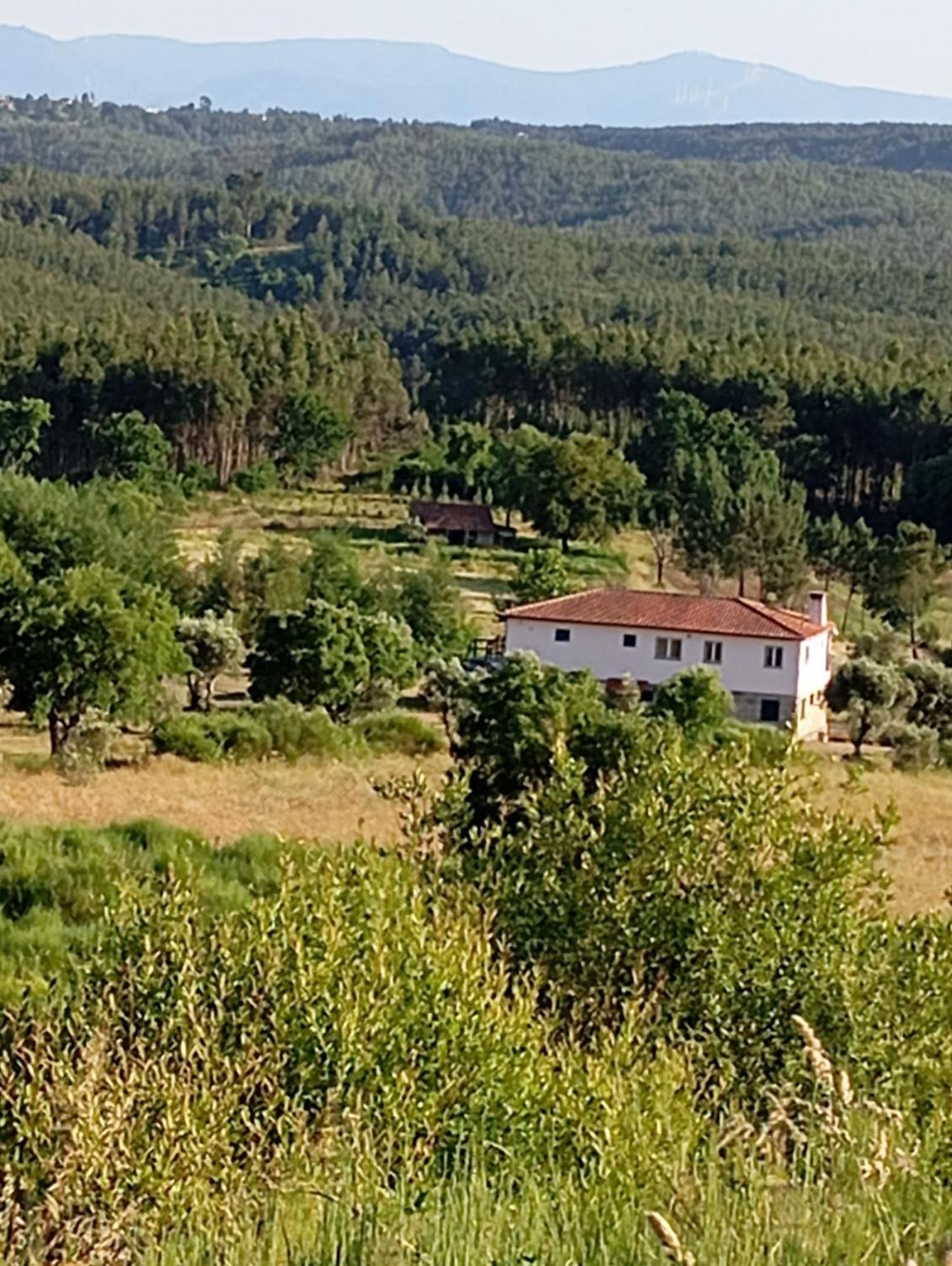 Bed and Breakfast Quinta Da Barroca Do Cabo Ázere Exterior foto